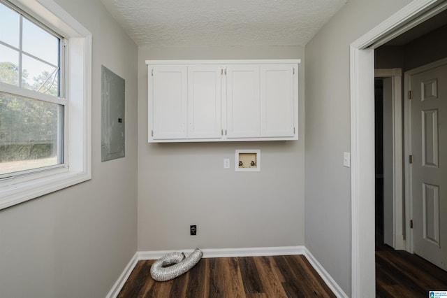 laundry area with electric panel, a textured ceiling, dark hardwood / wood-style floors, and washer hookup