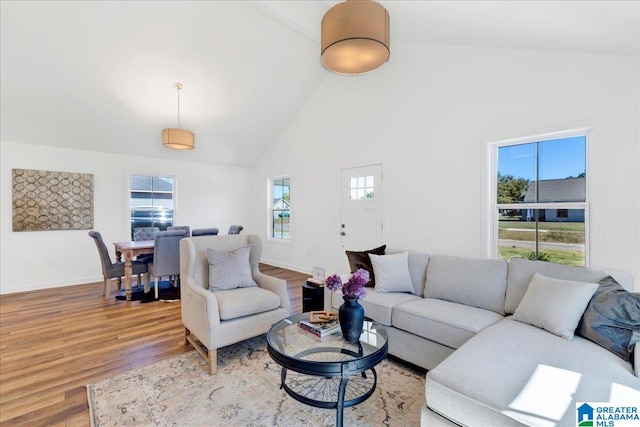 living room with hardwood / wood-style floors and high vaulted ceiling