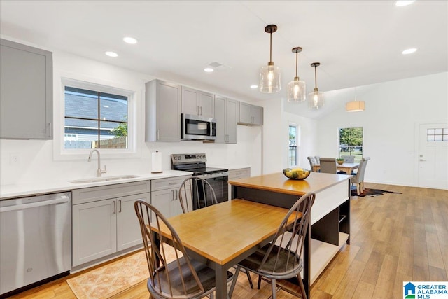 kitchen featuring gray cabinetry, stainless steel appliances, sink, and plenty of natural light