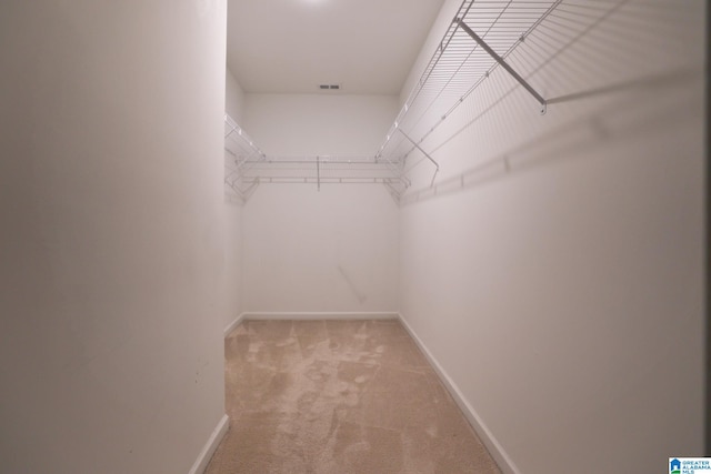 walk in closet with light carpet