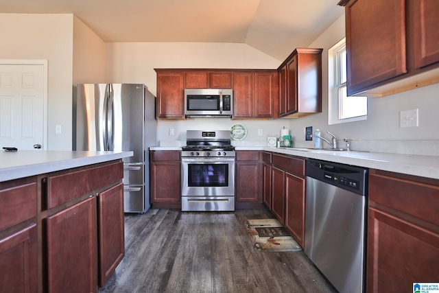 kitchen featuring appliances with stainless steel finishes, lofted ceiling, sink, and dark hardwood / wood-style flooring