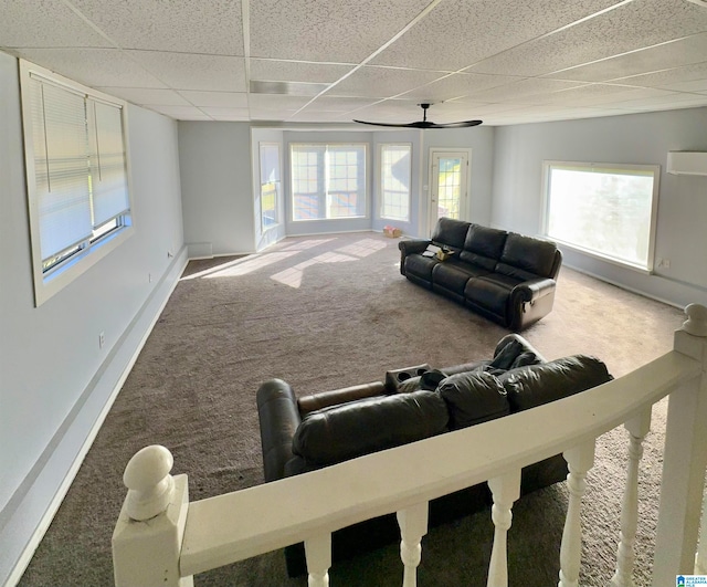 carpeted living room featuring a wall mounted AC, a paneled ceiling, ceiling fan, and a wealth of natural light