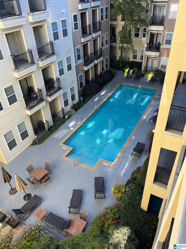 view of swimming pool with a patio area