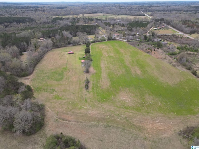 9380 County Road 15 Unit 1, Clanton, AL 35045