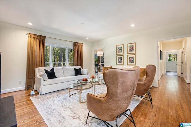 living room with light wood-type flooring