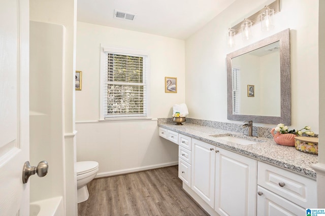 bathroom with vanity, toilet, and wood-type flooring