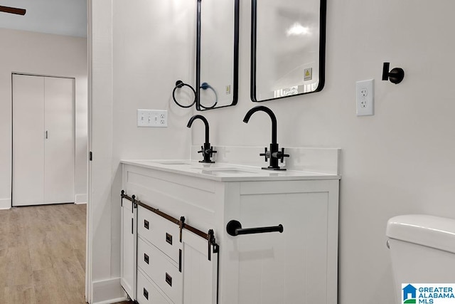 bathroom featuring toilet, vanity, and wood-type flooring