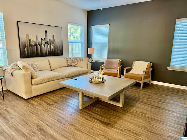 living room with ceiling fan and wood-type flooring