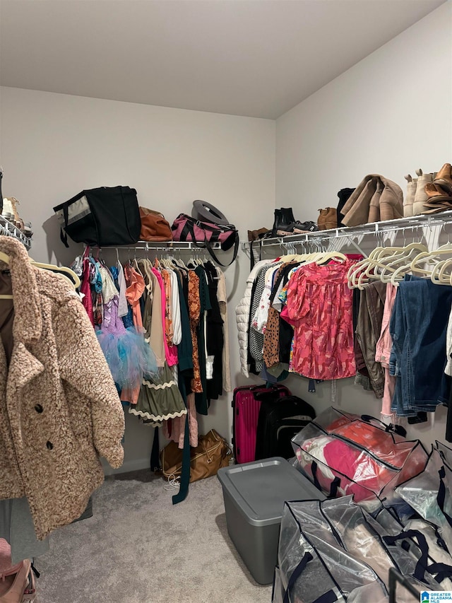 walk in closet featuring light carpet