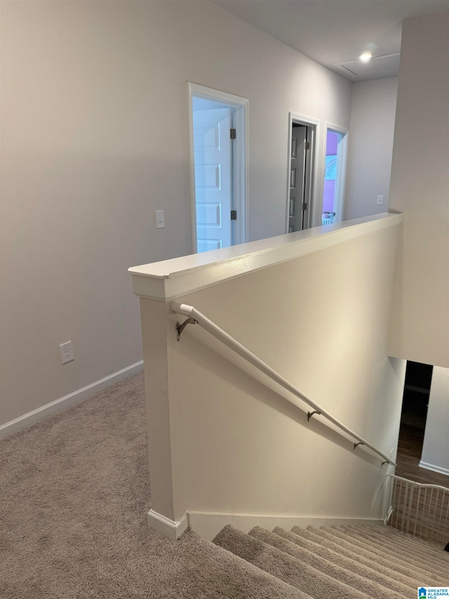 stairway featuring carpet flooring