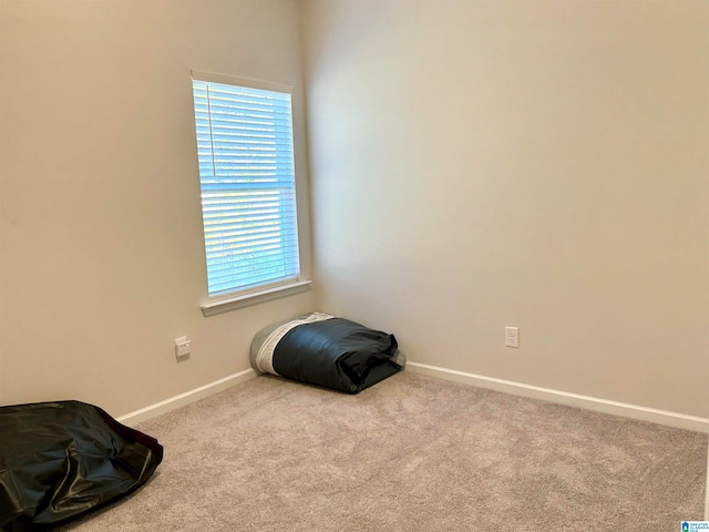 interior space with light colored carpet