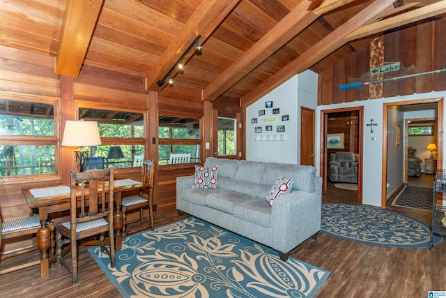 living room with high vaulted ceiling, hardwood / wood-style flooring, rail lighting, and wooden ceiling