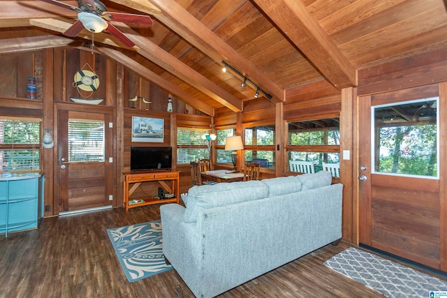 living room featuring a healthy amount of sunlight, wooden walls, and dark hardwood / wood-style floors