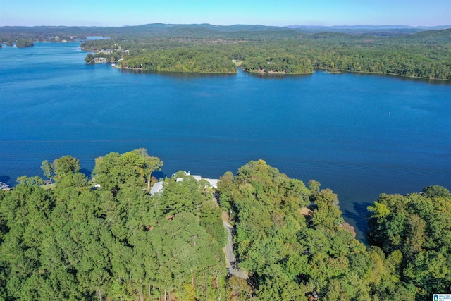 bird's eye view featuring a water and mountain view