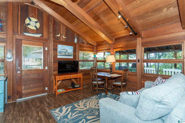 living room featuring a wealth of natural light, wood walls, track lighting, and dark hardwood / wood-style flooring