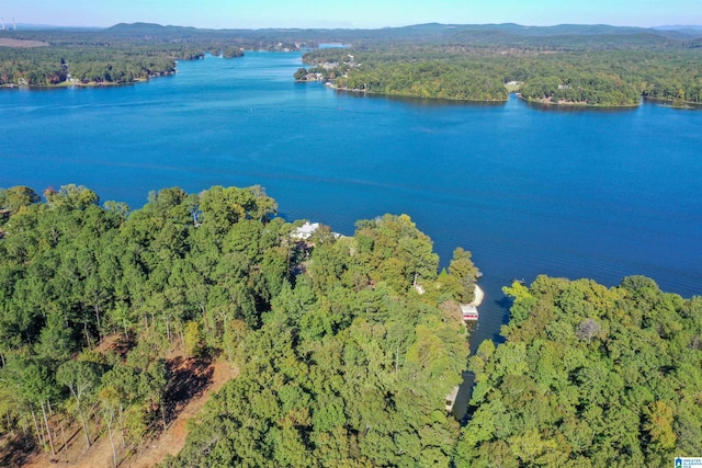 aerial view with a water and mountain view