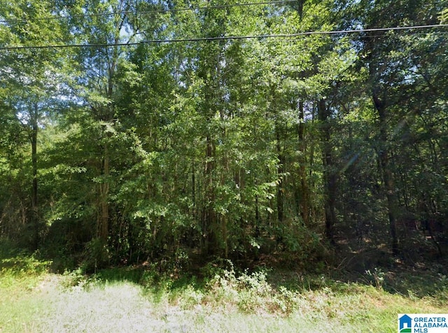 Listing photo 2 for LOT8 Highland St Unit 8, Glencoe AL 35905