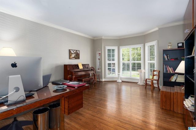 office featuring crown molding and dark hardwood / wood-style floors