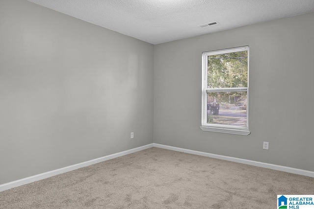 spare room with light carpet and a textured ceiling