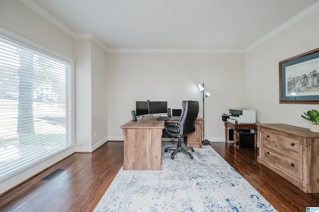 office featuring crown molding and dark hardwood / wood-style flooring