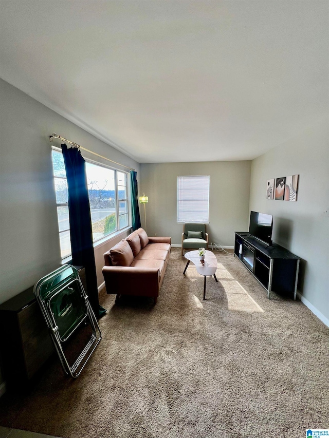 living room featuring carpet floors