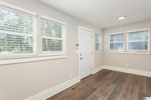 entrance foyer featuring a healthy amount of sunlight and dark hardwood / wood-style flooring