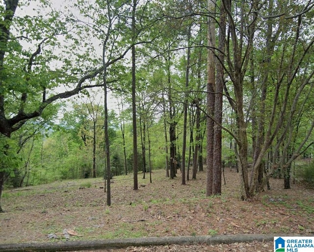 1505 Verdure Cv Unit 19, Hoover AL, 35226 land for sale