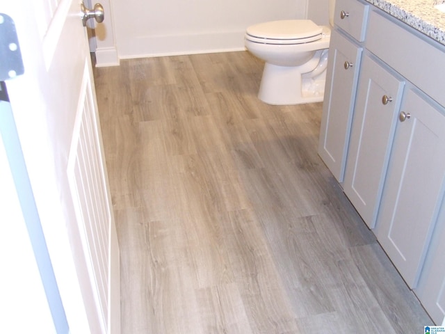 bathroom with vanity, toilet, and hardwood / wood-style flooring