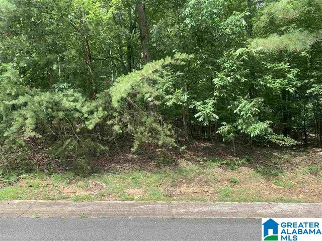 LOT8 Heritage Pl Lot 8, Springville AL, 35146 land for sale