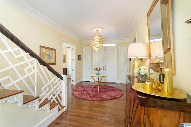 foyer entrance with crown molding, a chandelier, and dark wood-type flooring