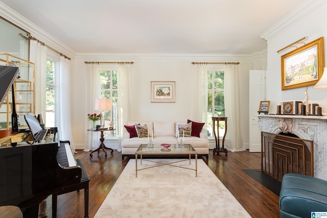 living room featuring crown molding, a fireplace, dark wood-type flooring, and plenty of natural light