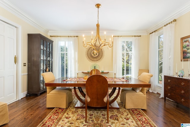 dining room with an inviting chandelier, crown molding, dark hardwood / wood-style floors, and a healthy amount of sunlight