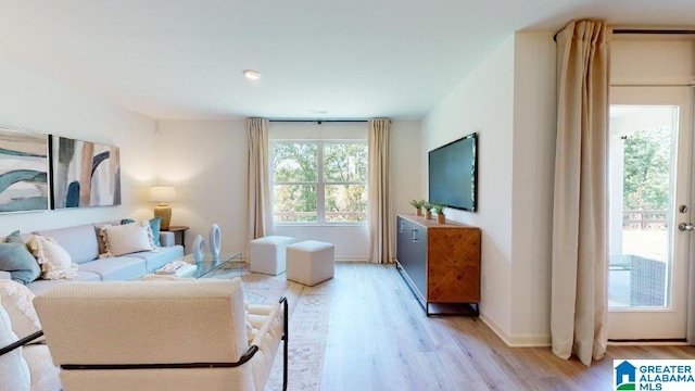 living room featuring light hardwood / wood-style floors