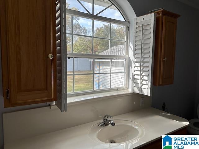 bathroom featuring a healthy amount of sunlight and sink