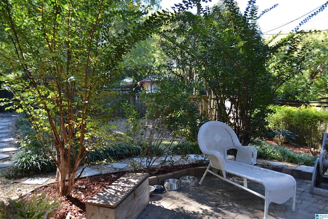 2705 Caldwell Ave S, Birmingham, AL 35205 - view of patio