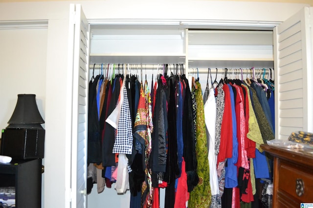 view of closet