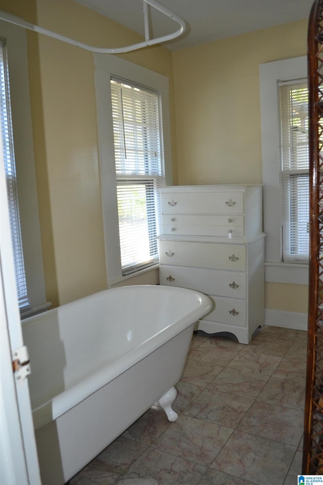 bathroom with a washtub and a wealth of natural light