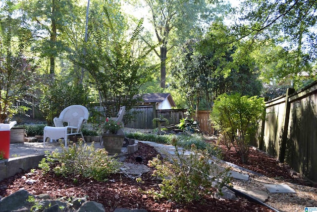 view of yard featuring a patio area