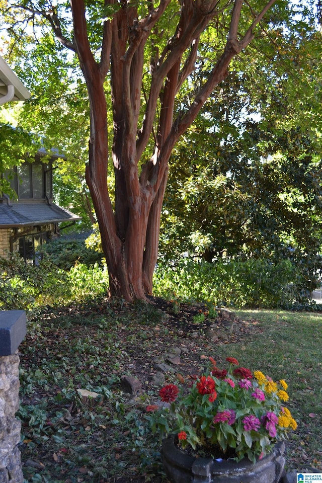 2705 Caldwell Ave S, Birmingham, AL 35205 - view of yard