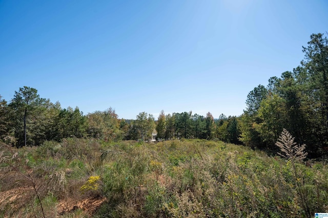 1330 Mckesie St Unit 1330, Riverside, AL 35135