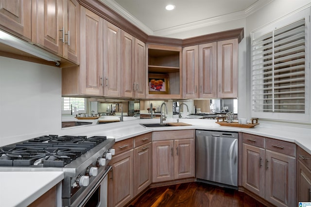 kitchen featuring dark wood-type flooring, stainless steel appliances, ornamental molding, and sink