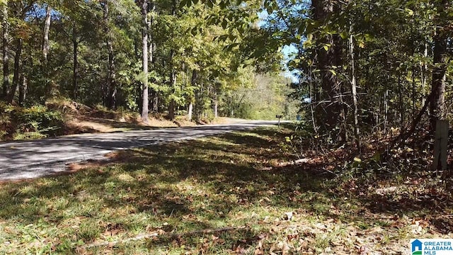 0 Odens Mill Rd Unit 0, Sylacauga AL, 35151 land for sale