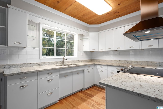 kitchen with island range hood, light hardwood / wood-style flooring, sink, range, and light stone counters