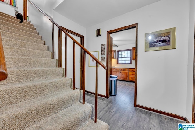 stairway featuring wood-type flooring