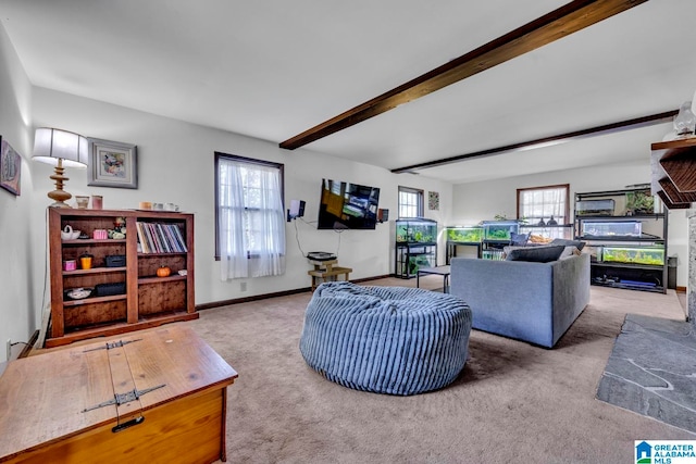 carpeted living room with beam ceiling and plenty of natural light