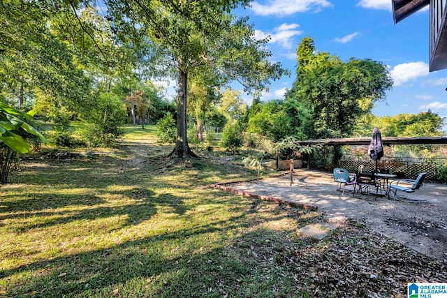 view of yard featuring a patio area