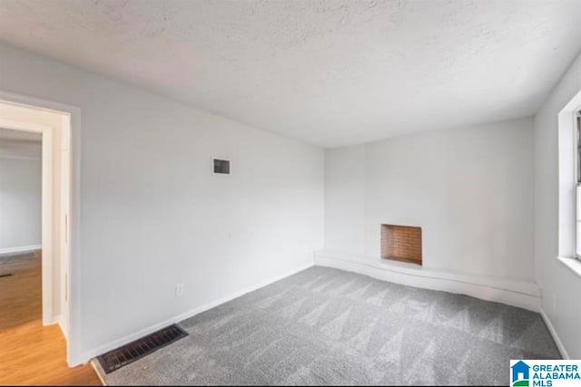 spare room featuring carpet and a textured ceiling