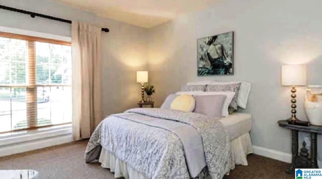 765 2nd Ave, Ashland, AL 36251 - bedroom with baseboards and multiple windows