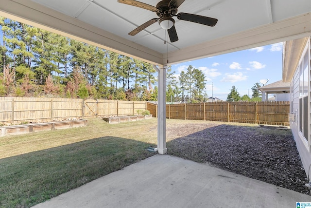 view of yard with a patio and ceiling fan