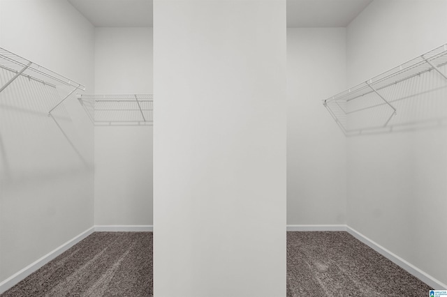 spacious closet featuring dark colored carpet